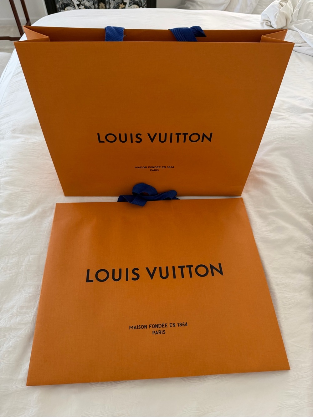 Men Bags Subcategory Identification - Picture 4 of 8
